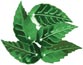 Darice 538 Sequins Large Leaf Kelly Green 50 pc/pkg