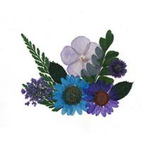 Darice Botanical Stickers - 3 Blue Flower Sticker