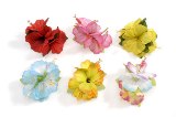 Darice Luau Flower Clips - 6 Colors
