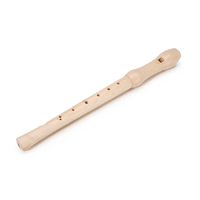 Musical Instrument - Flute