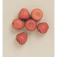 Darice Timeless Minis - Red Apples 6 pc