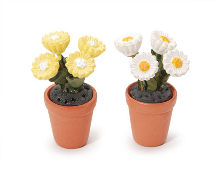 Darice Timeless Minis - 1.5" Potted Daisies