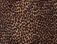 Grafix Funky Fur - Jaguar 4 sheets