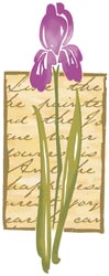 Posh Impressions Wood Mounted Stamp - Iris