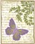 Posh Impressions Wood Mounted Stamp - Butterfly