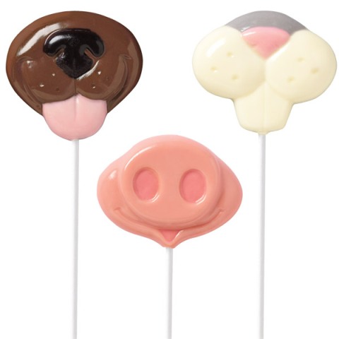 Wilton Candy Mold - Animal Nose Fun Face Lollipop